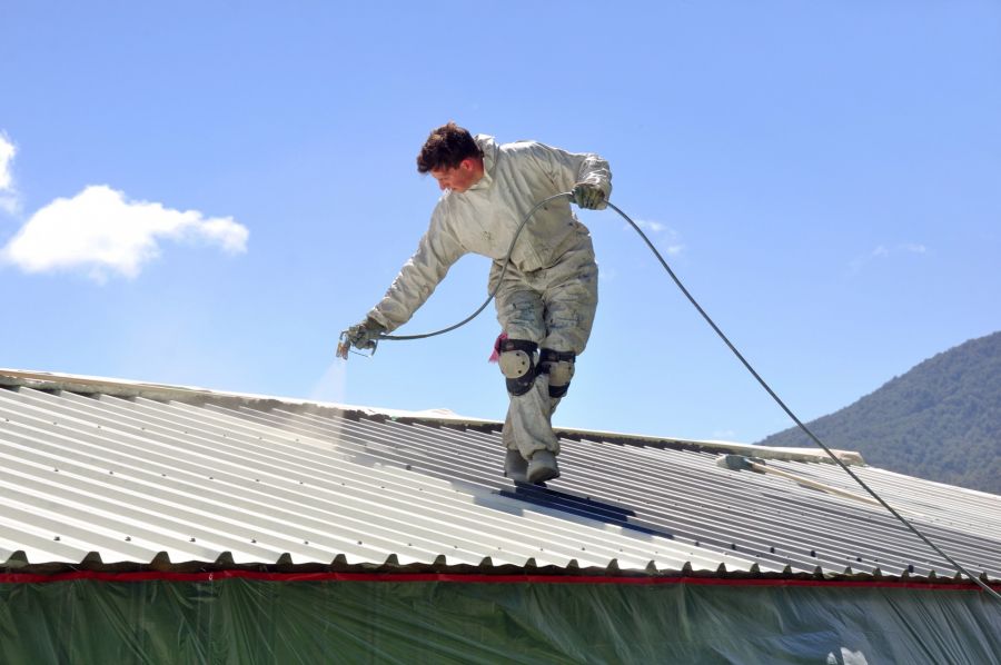 Roof Painting by M & M Developers Inc.