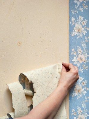 Wallpaper removal in Sanford, California by M & M Developers Inc..